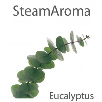 Eucalyptus, 1 litre - aromathérapie