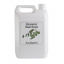 SteamAroma Eucalipto - Pacco da 4 bottiglie di 5 litri